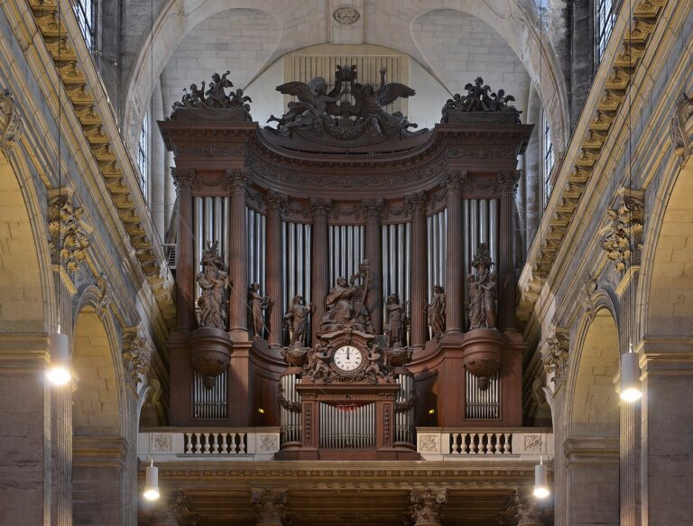 Organ