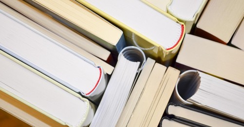 Finding Curriculum for Homeschooling